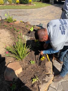 Wells Branch Sprinkler Repair Tech