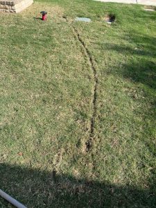 Irrigation Repair Wells Branch