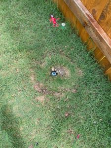 Sprinkler Repair Wells Branch